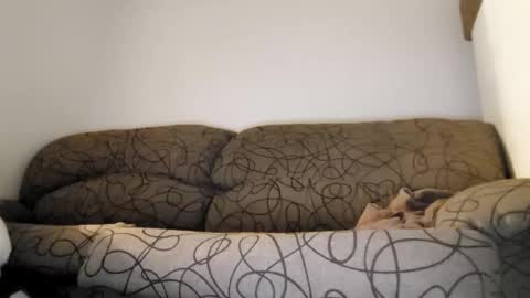 ToffBuck online show from February 9, 4:49 am