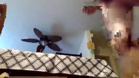 tommy4inch online show from March 23, 4:45 pm