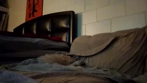 Snapshot of tomthebomb347 chatting on September 14, 10:22 pm tomthebomb347 online show from September 14, 10:22 pm