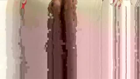 toomuchuniverse online show from February 3, 1:13 am