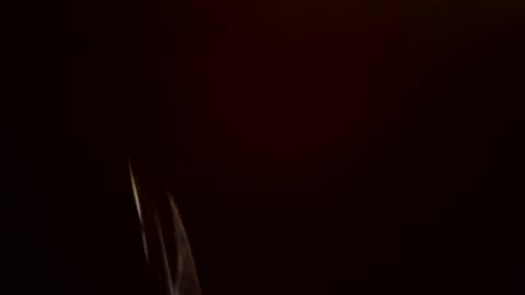 toronto5656 online show from February 24, 11:54 am