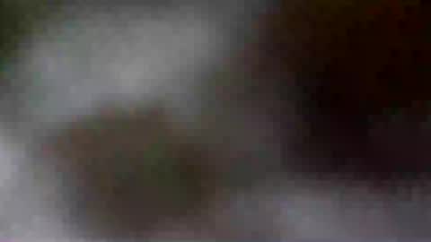 torontohungg online show from October 7, 9:38 am