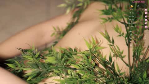 Toshi online show from September 17, 1:03 pm