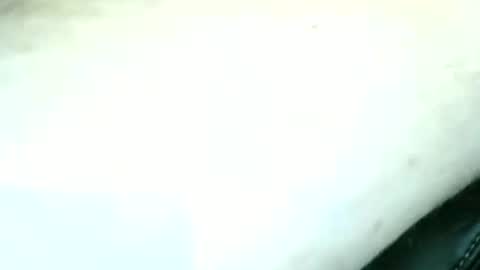 Snapshot of trailblazer1969 chatting on September 19, 12:15 am trailblazer1969 online show from September 19, 12:15 am