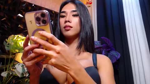 transpornidol online show from November 25, 4:28 pm