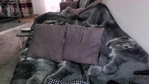 Lana online show from March 31, 1:06 am