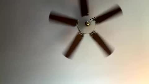 twerkandjerkk online show from April 16, 1:22 pm