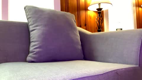 Tyler Sands online show from February 7, 2:58 pm