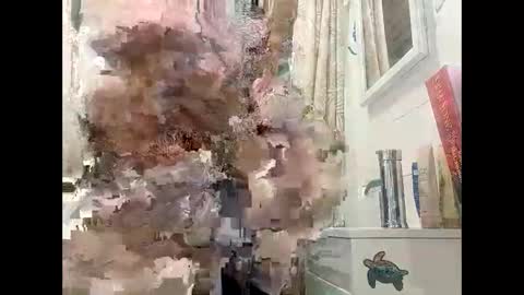 tylerweist727678265 online show from April 19, 10:23 pm