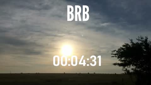 ulmo_br online show from December 15, 10:58 pm