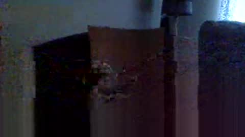 uncut4urbutt online show from January 14, 6:27 pm