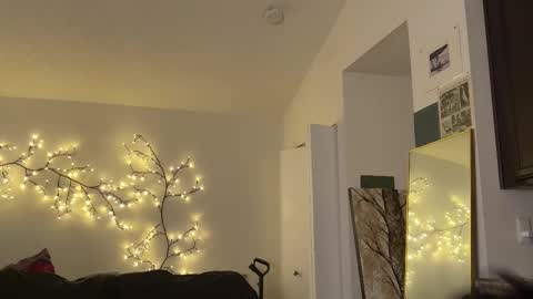 wang online show from November 21, 11:47 pm