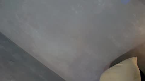 Lola online show from February 13, 4:50 pm