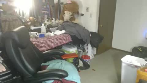 Eric online show from February 3, 11:58 am