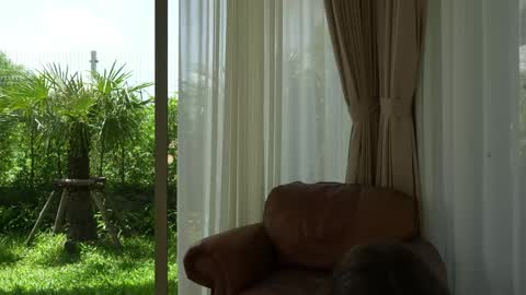 Valerie online show from November 4, 4:36 am