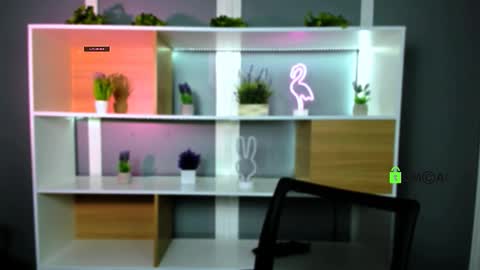 veldi_to online show from February 2, 7:32 pm