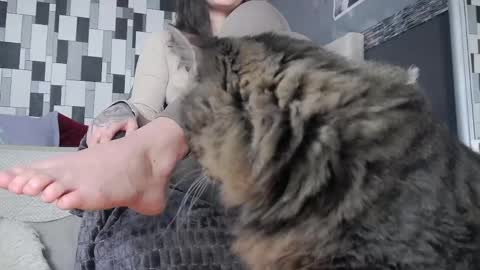 venusinylons online show from April 23, 3:02 pm