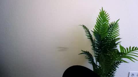 Ana online show from February 16, 1:09 pm