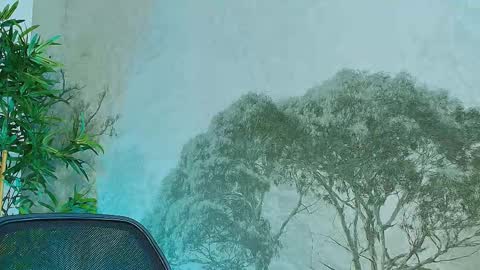 Victory online show from October 25, 3:56 pm