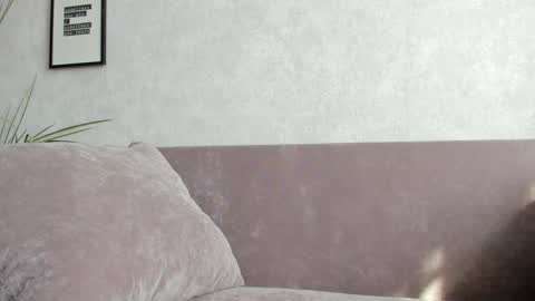 Vincent.  uncut 18cm online show from September 10, 11:33 am