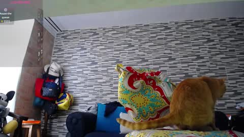 Violeta Gmez online show from February 15, 3:22 pm