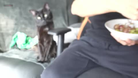 VITO BENZ online show from March 14, 9:30 pm