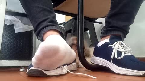 WaltherFeet  online show from September 8, 4:50 pm