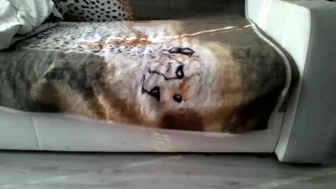 warszawa4321 online show from November 13, 9:45 am