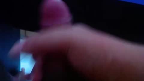 wellingtont online show from February 3, 8:29 am