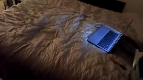 RiZZA and MiKE online show from February 18, 11:21 am