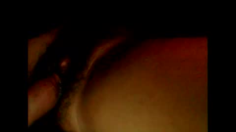 wetnhrnyftm online show from November 20, 6:23 am