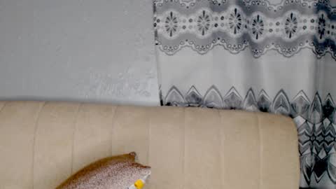 wetpunani01 online show from November 18, 1:52 am