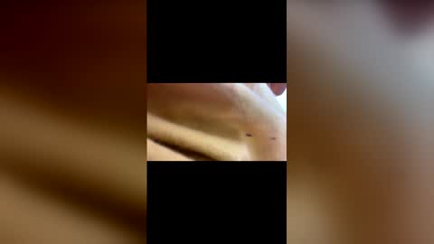 Randy online show from November 25, 4:39 pm