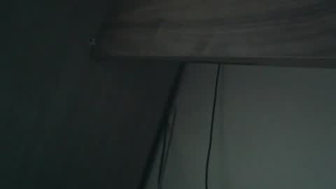 wildbrdick online show from April 16, 2:11 am