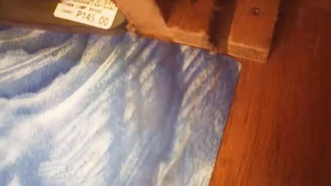 wildflower2006 online show from November 12, 9:33 am