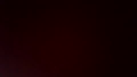 wildflower2006 online show from February 24, 8:06 am