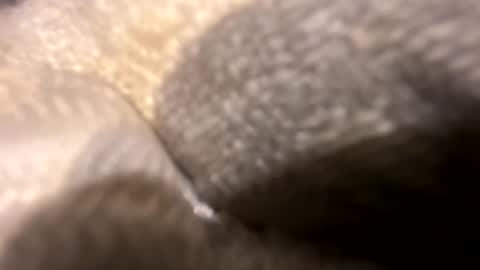 wiley0520 online show from October 27, 11:43 am