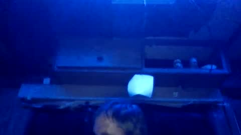 willielowrider online show from February 21, 11:24 am