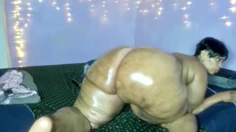 wilmaassylum online show from December 17, 5:25 am