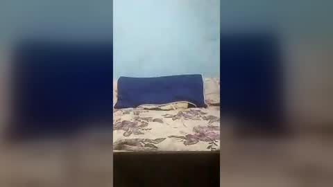Wolfbeach online show from August 3, 7:42 pm
