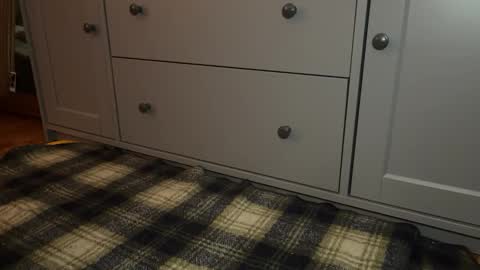 Sage online show from December 21, 4:24 pm