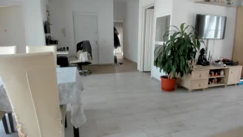 Wolfie online show from November 25, 8:57 am