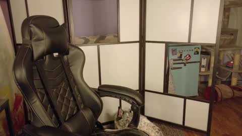 Wyatt online show from February 5, 8:07 am