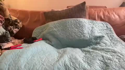 Oscuro Patrn online show from January 6, 4:44 pm