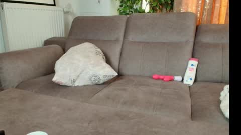 Cherry online show from March 1, 5:55 am