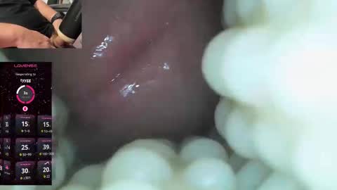 xoxowtf online show from December 21, 1:56 am