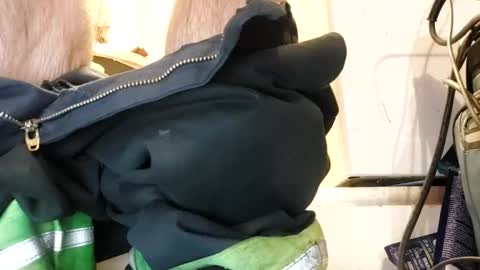 Xploringus online show from November 1, 5:45 pm