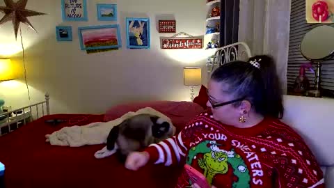 Strawberry Jane online show from December 4, 5:18 am