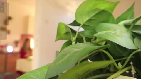 Snapshot of xxxoka chatting on March 6, 2:08 pm Xxxoka online show from March 6, 2:08 pm