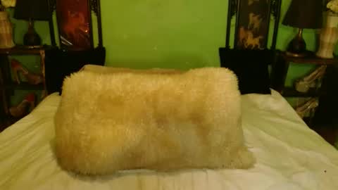 Snapshot of xxxpamelabombxxx chatting on February 27, 2:35 am PAMPAM online show from February 27, 2:35 am